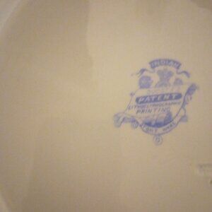 Pearl wear stoneware made from India